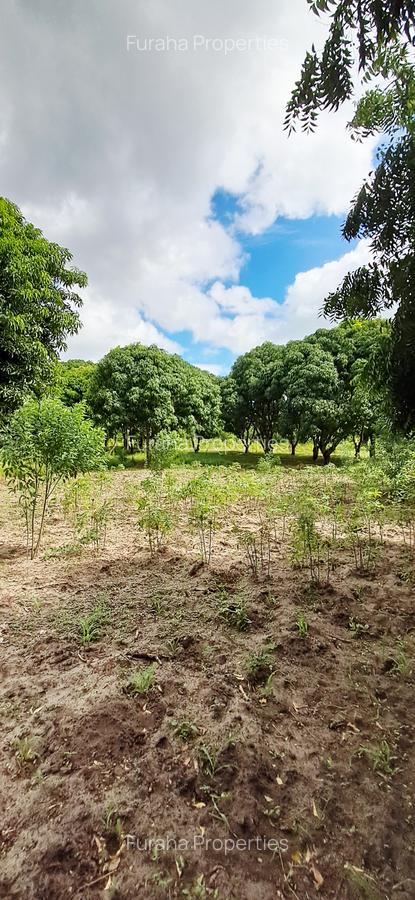 Land at Mtwapa - 15