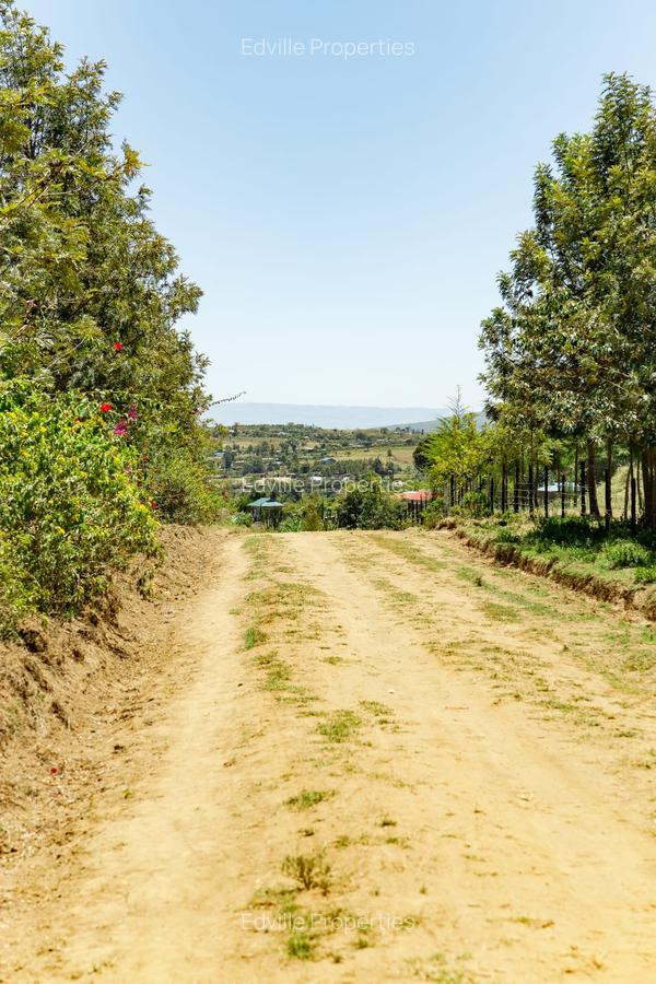 Land at Moi South Lake Road - 10