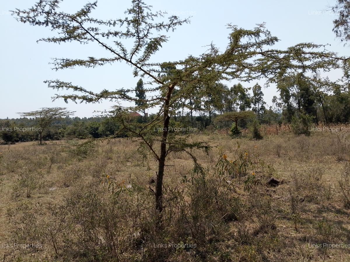 Residential Land at Merisho Road - 7