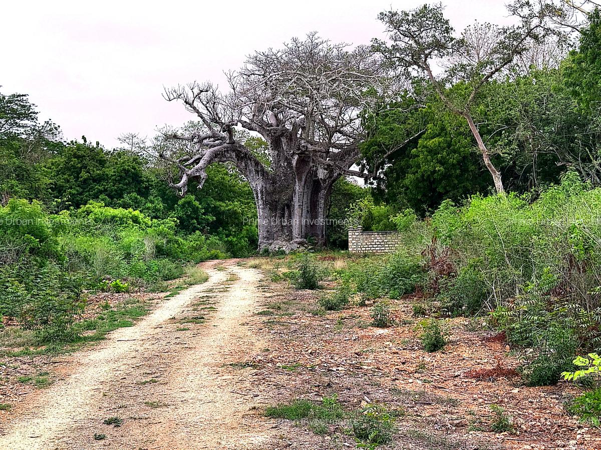 10 ac Land at Kuruwitu Vipingo - 9