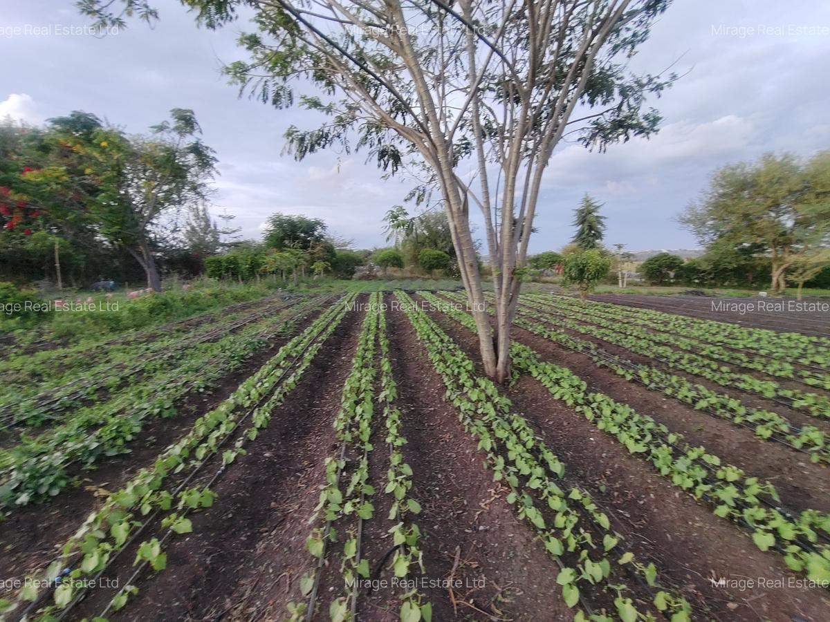 Residential Land in Athi River - 4