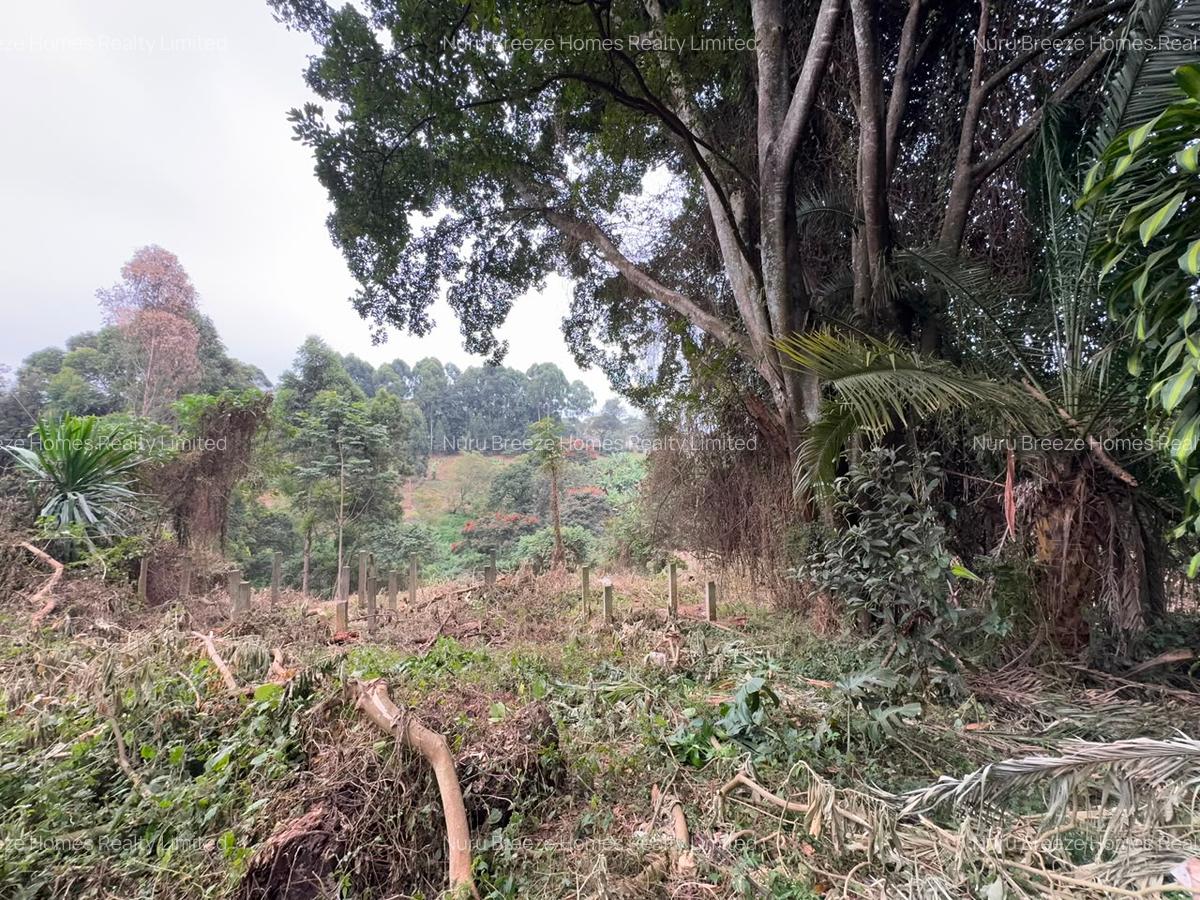 1 ac Land in Kitisuru - 5