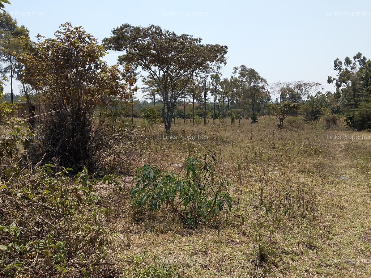 Residential Land at Merisho Road - 3