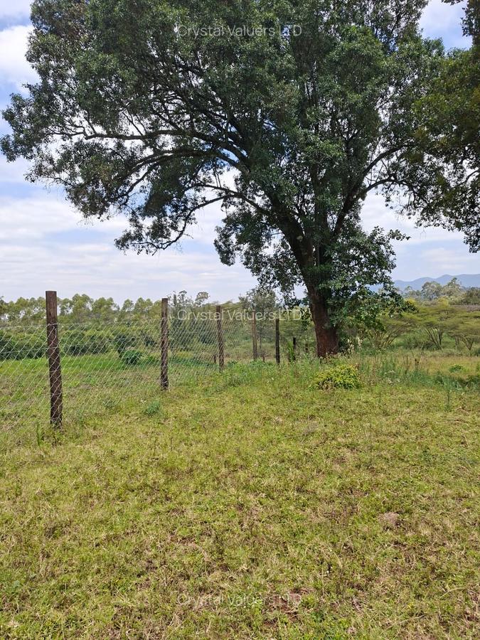 Land in Karen - 4