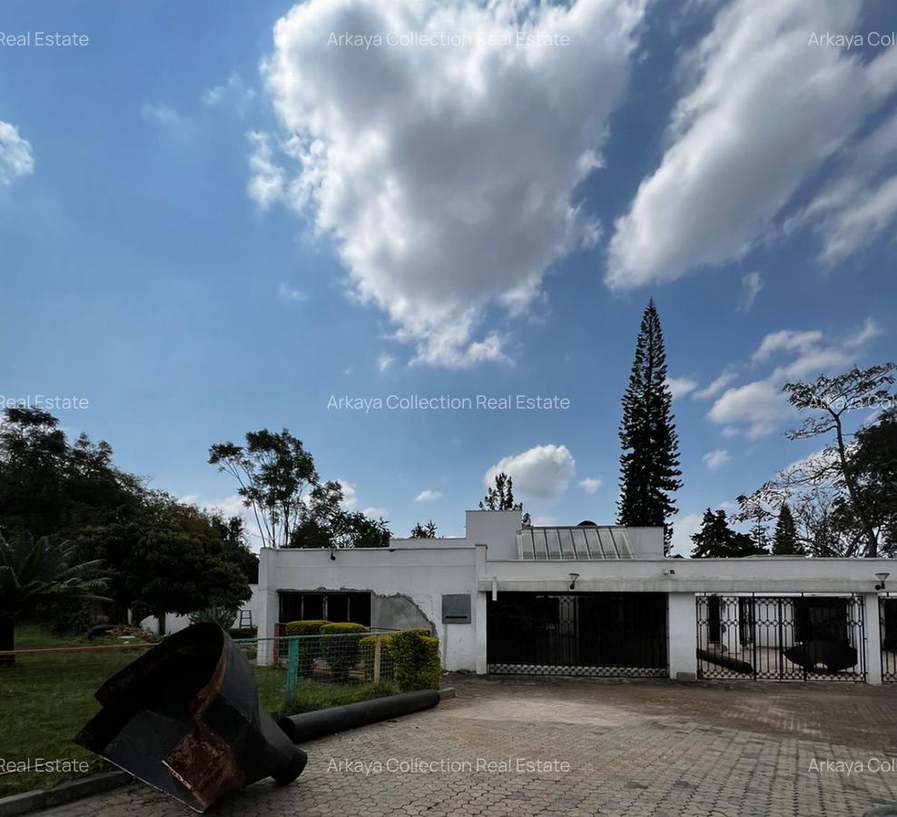 Commercial Property with Backup Generator in Lavington - 1