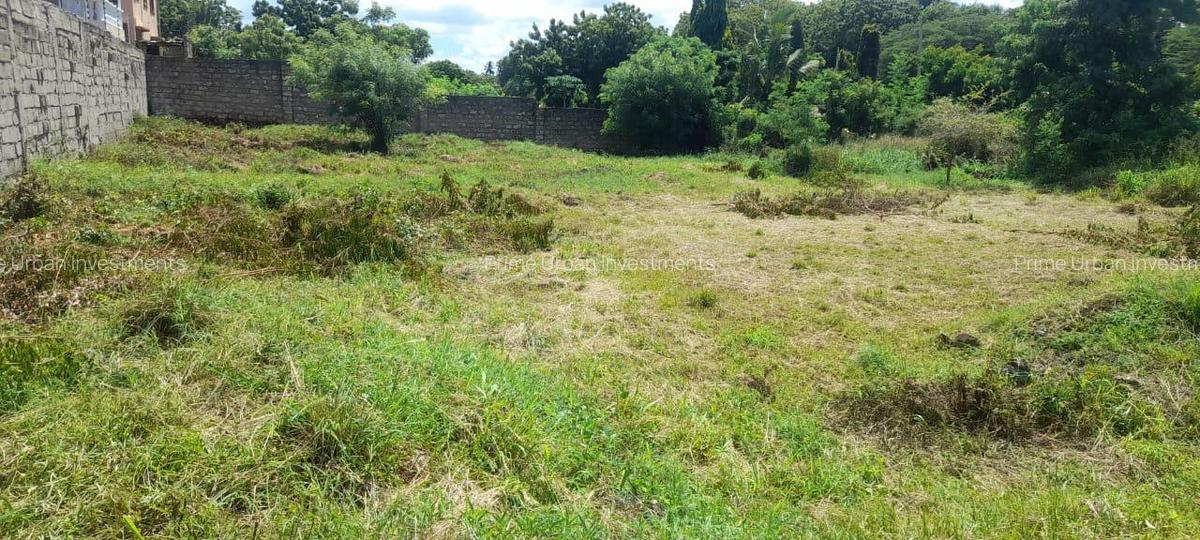 1,000 m² Residential Land at Serena Residence Lane 601 - 14