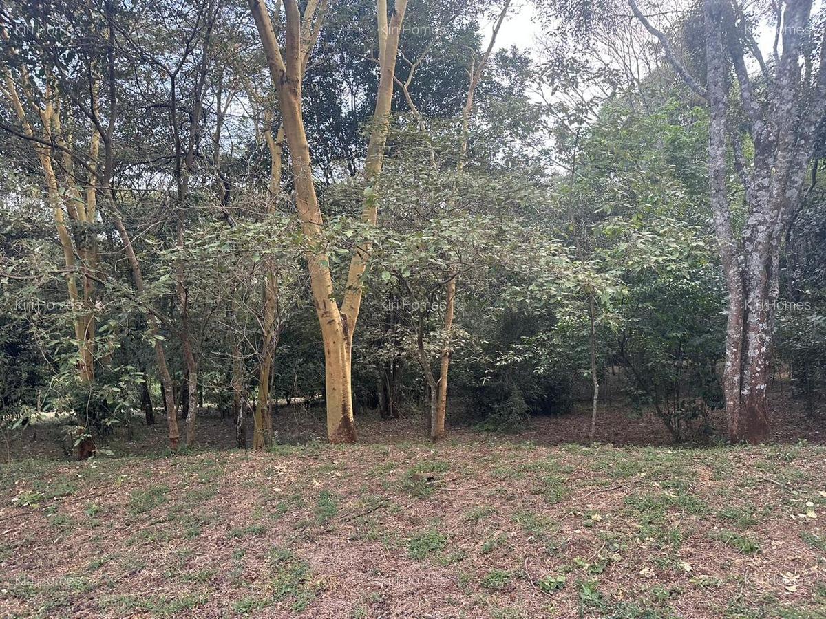Land in Karen - 5