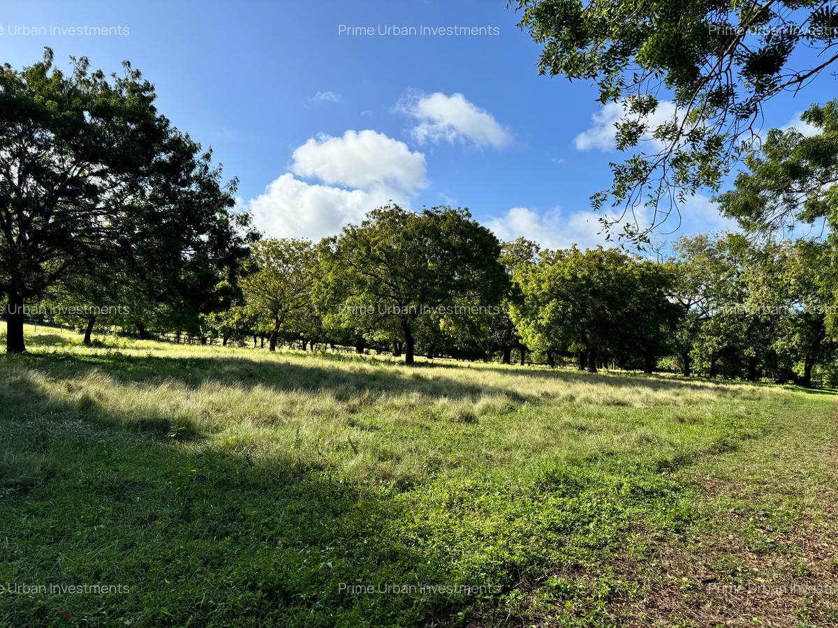 Land in Vipingo - 3