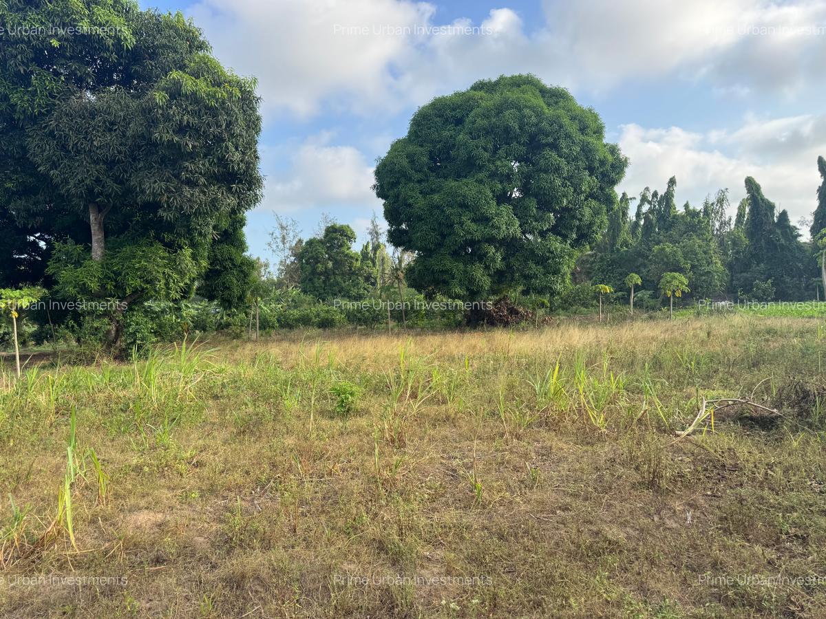 30 ac Land at Kikambala Bomani - 4