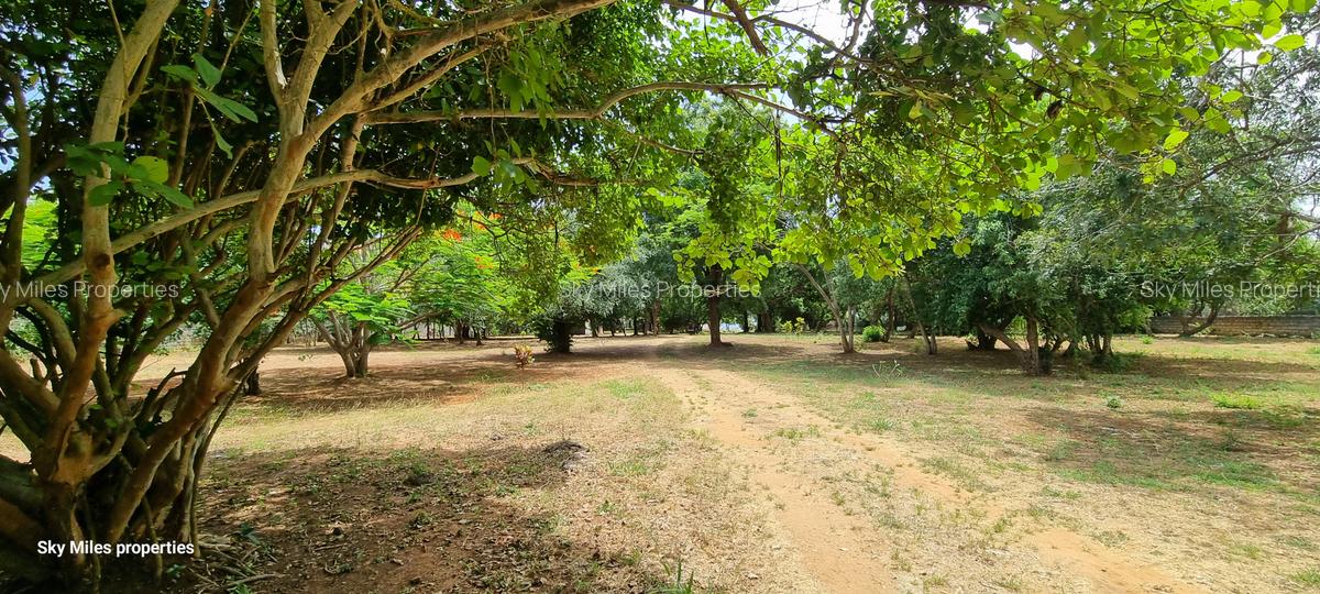 4 ac Land at Bofa - 16