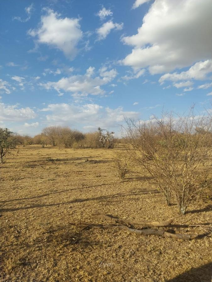 31 ac Land at Sekenani - 1