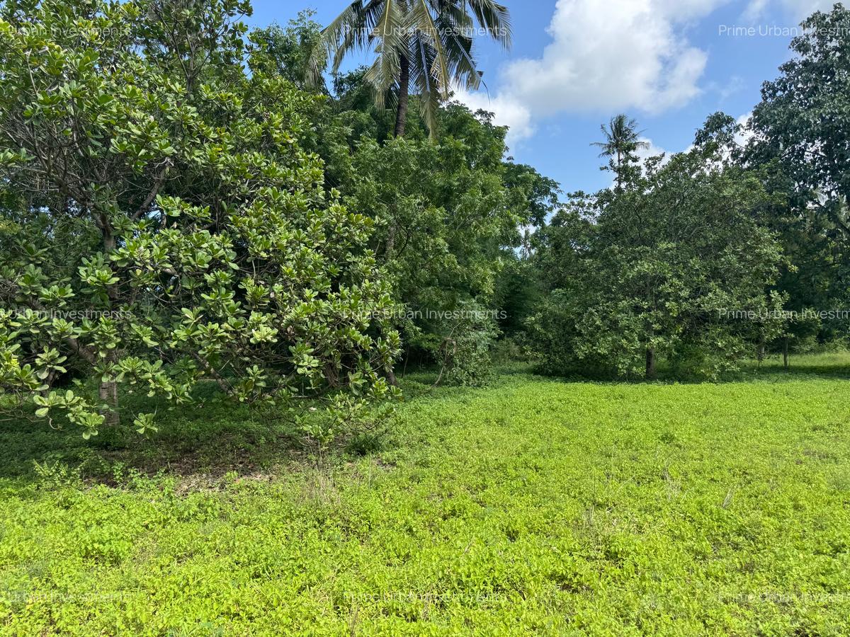 Land at Kikambala - Mombasa Malindi Highway - 17