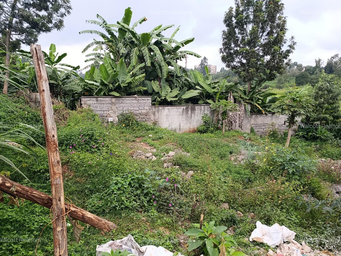 Land in Ruaka - 3