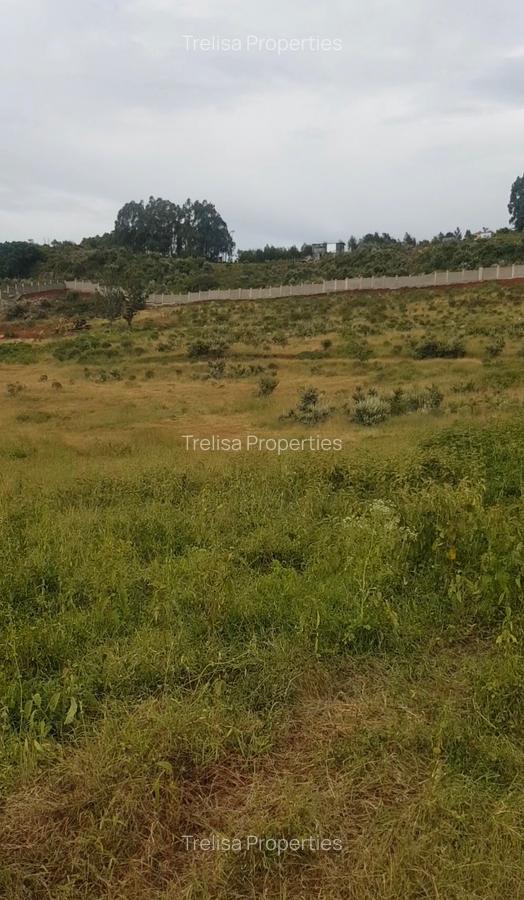 Land at Kibiko - 1