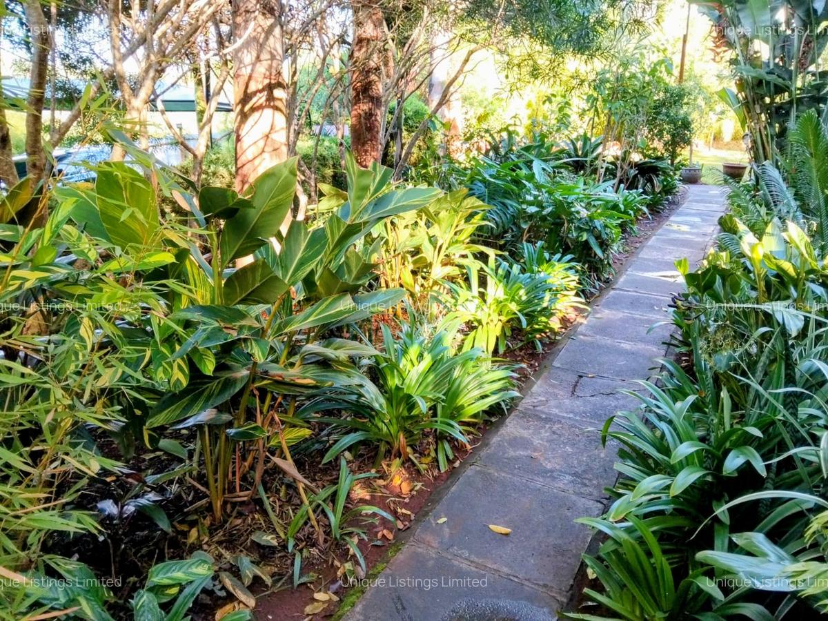 1 Bed House with En Suite in Kitisuru - 13