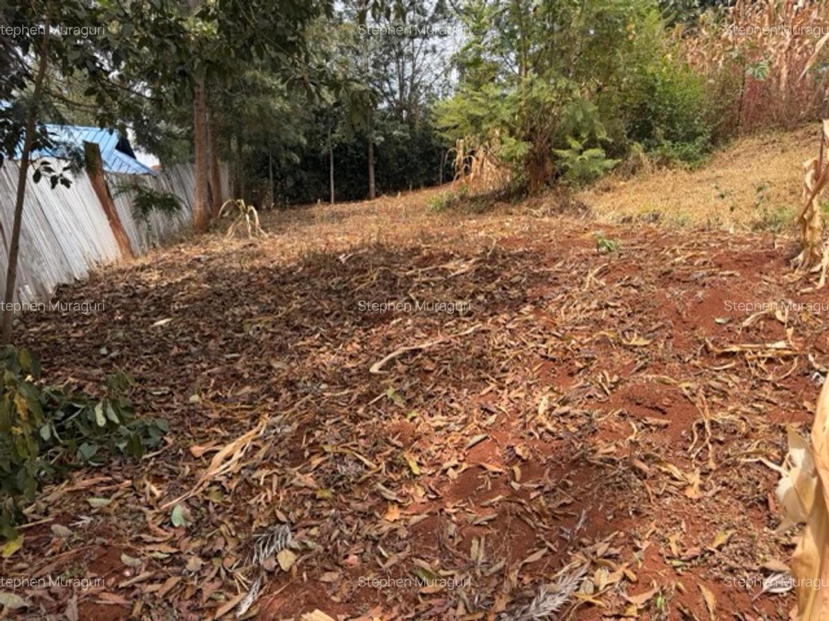 0.25 ac Land in Nyeri - 12