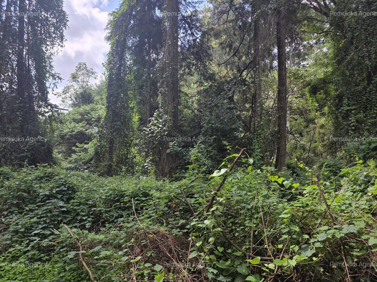 Residential Land in Kitisuru - 8