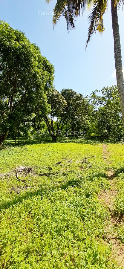 Land at Mtwapa - 8