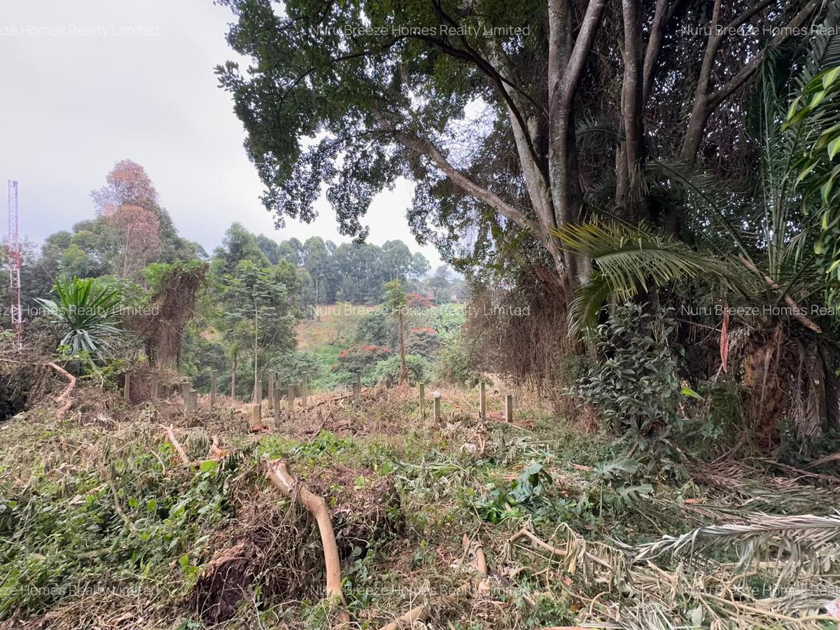 1 ac Land in Kitisuru - 4