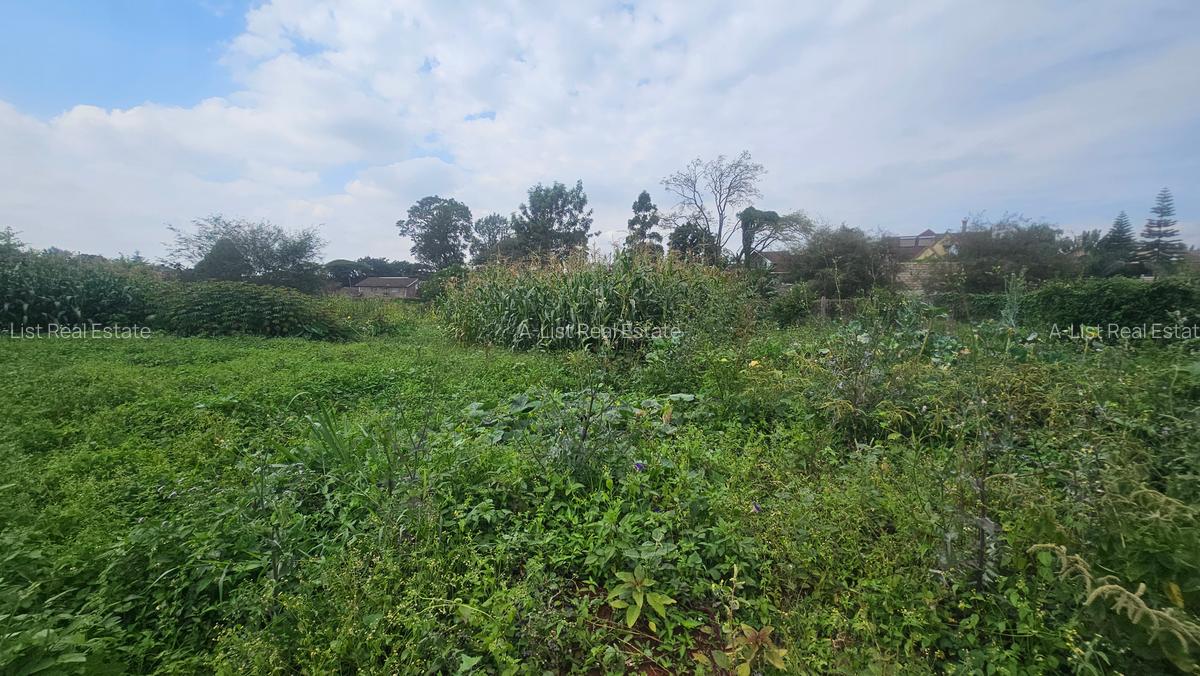 0.365 ac Land at Mushroom Road - 4