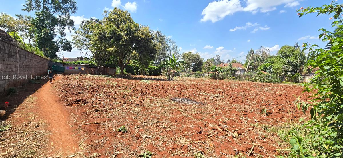 Residential Land at Runda Road - 19