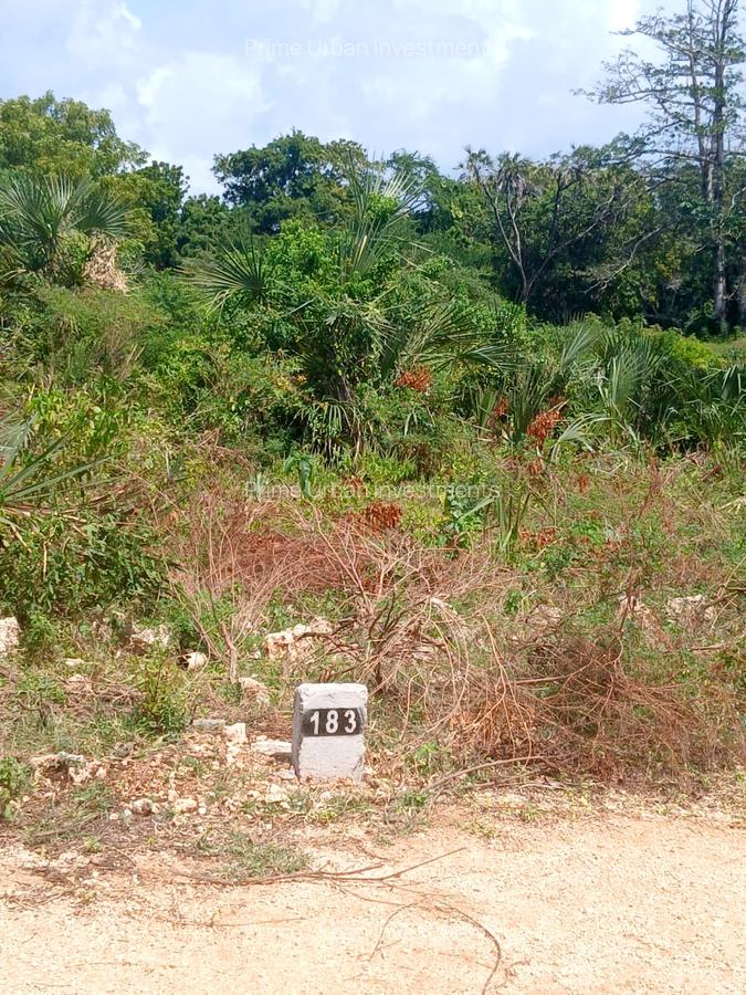 1,000 m² Residential Land at Vipingo - Kuruwitu - 7