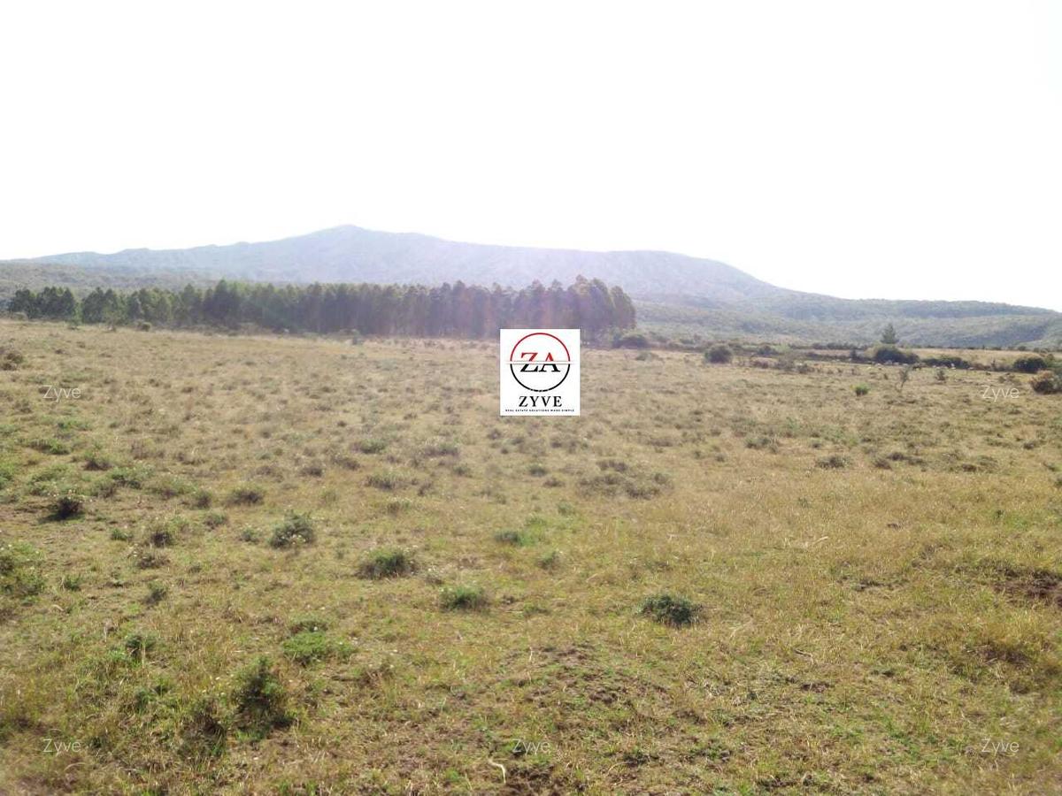 18 ac Land at Swara Ranch - 7