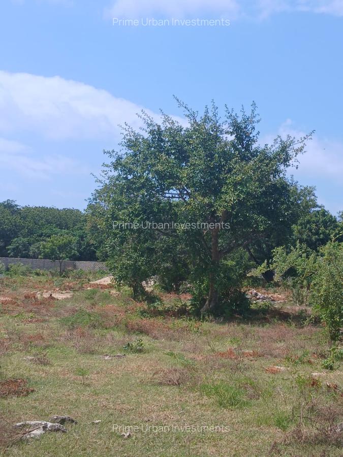 1,000 m² Residential Land at Vipingo - Kuruwitu - 20