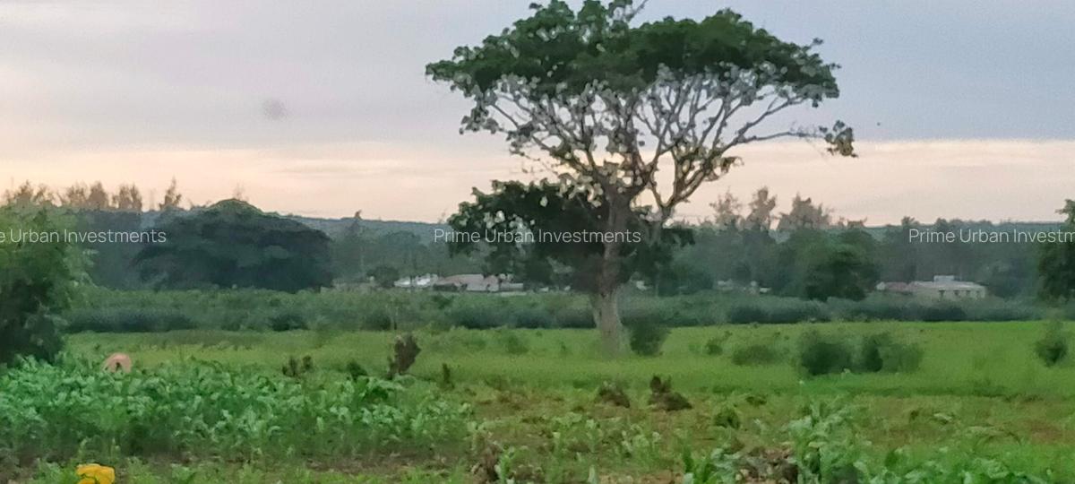 Land at Utalii - Vipingo - 9