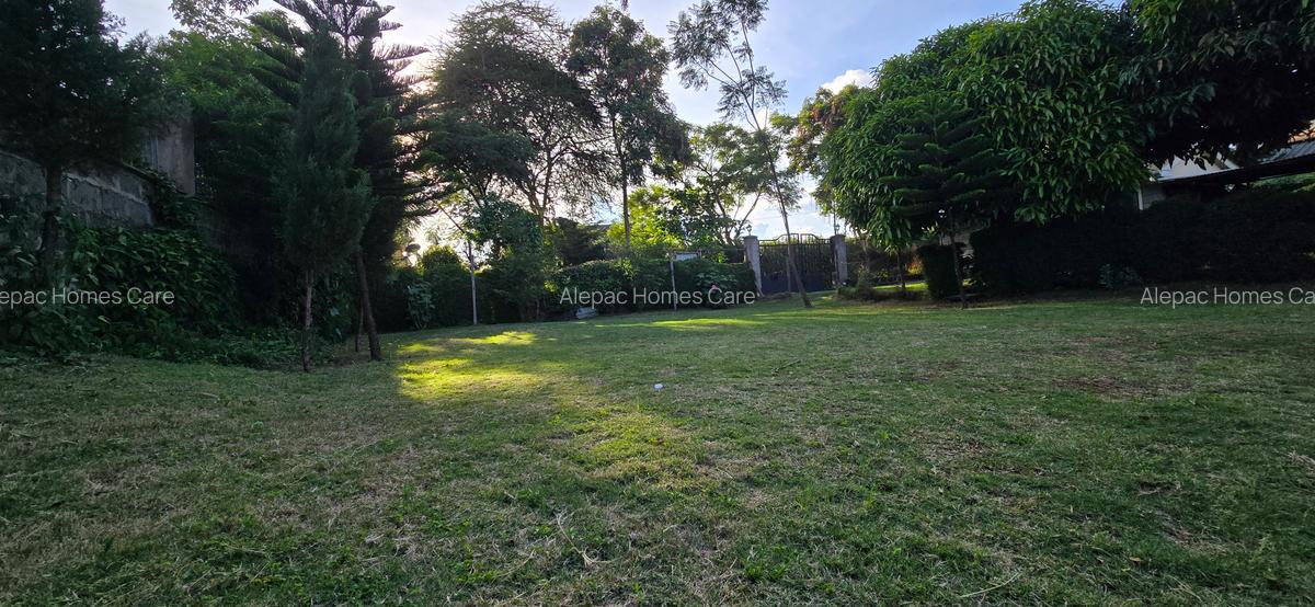 0.25 ac Residential Land at Kamakis - 8