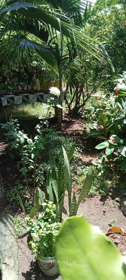10 Bed House with Garden at Mwea - 7