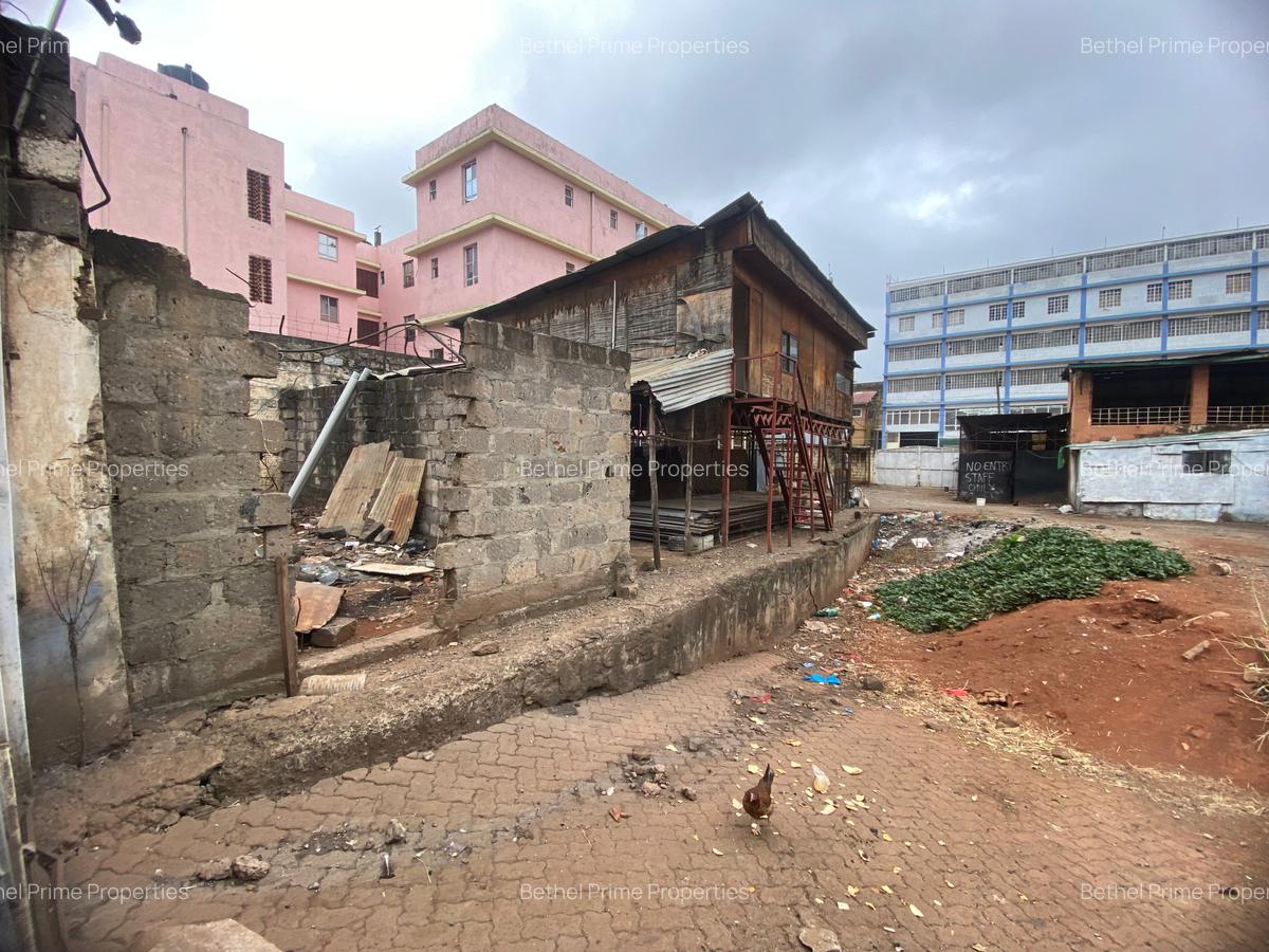 Land in Ngara - 4