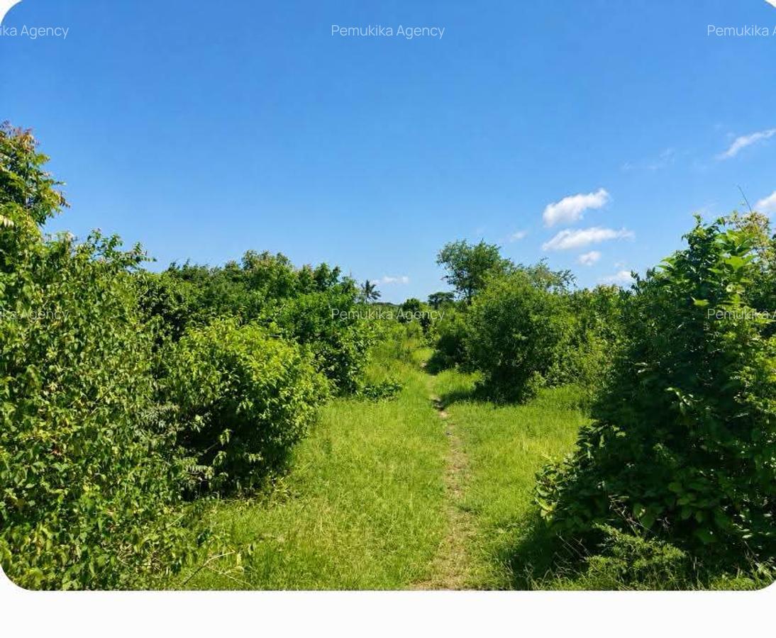 Commercial Land in Malindi - 5