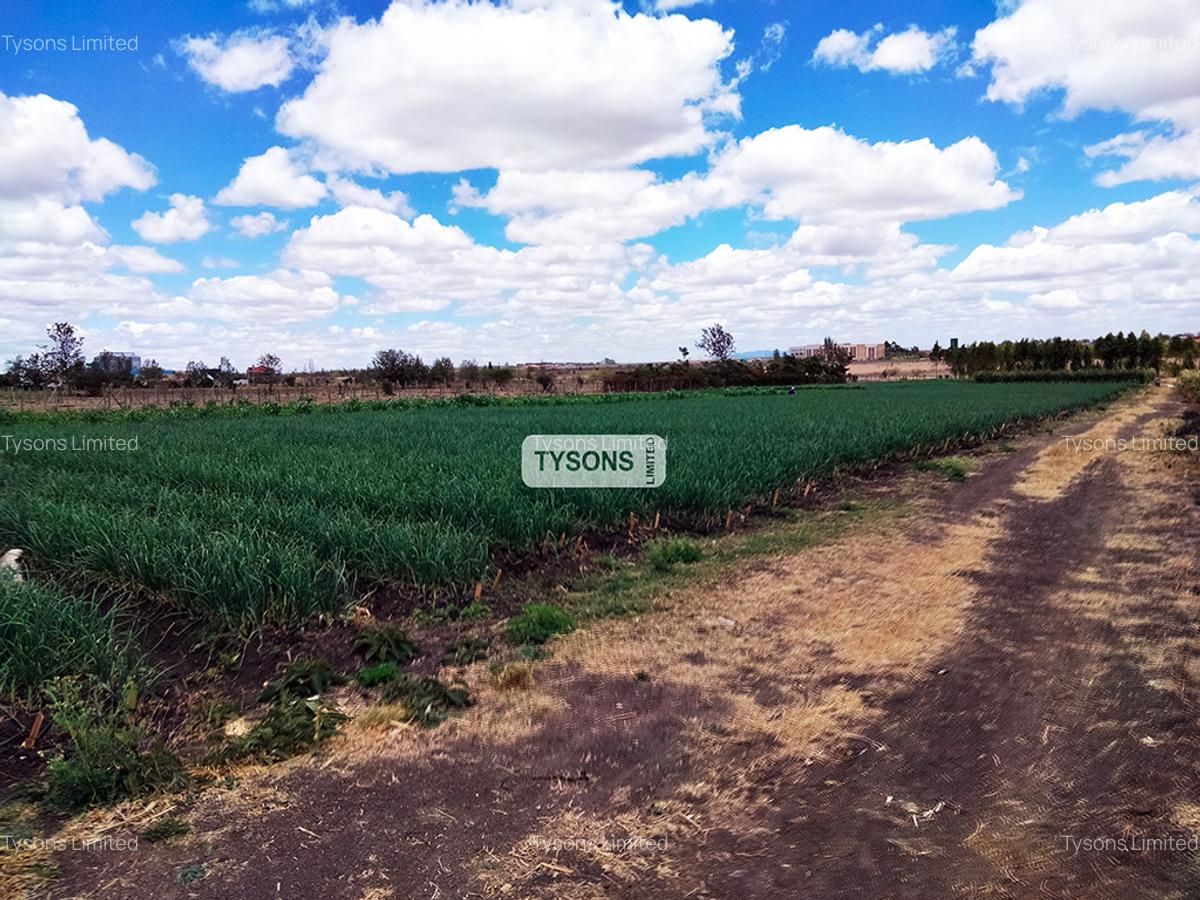20 ac Commercial Land in Kisaju - 1
