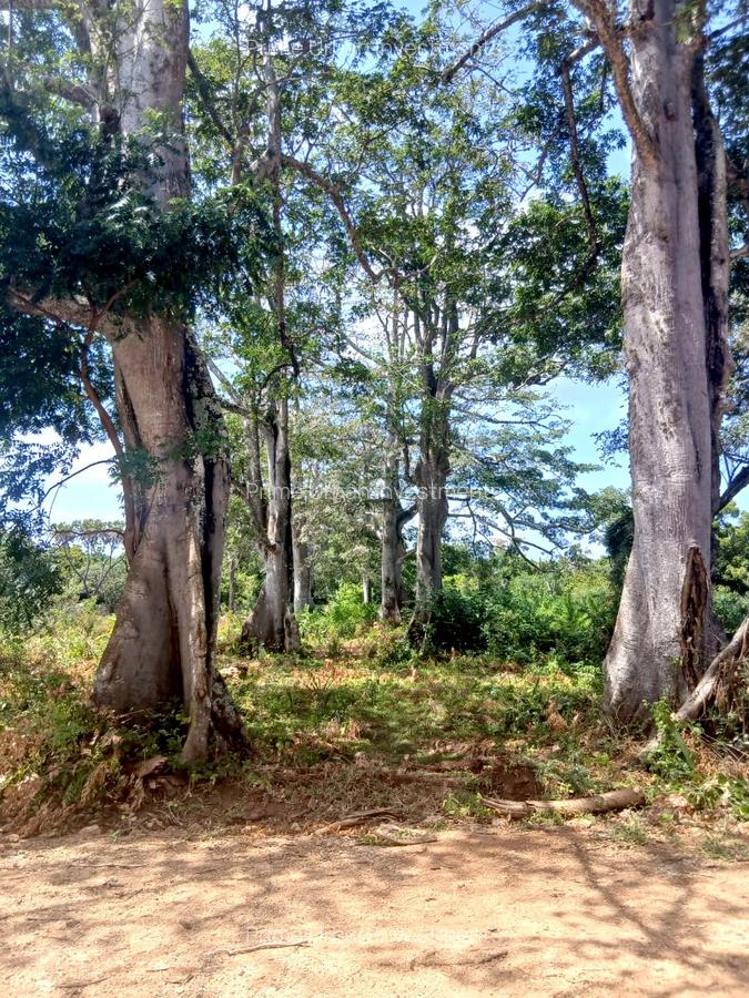 1,000 m² Residential Land at Vipingo - Kuruwitu - 5