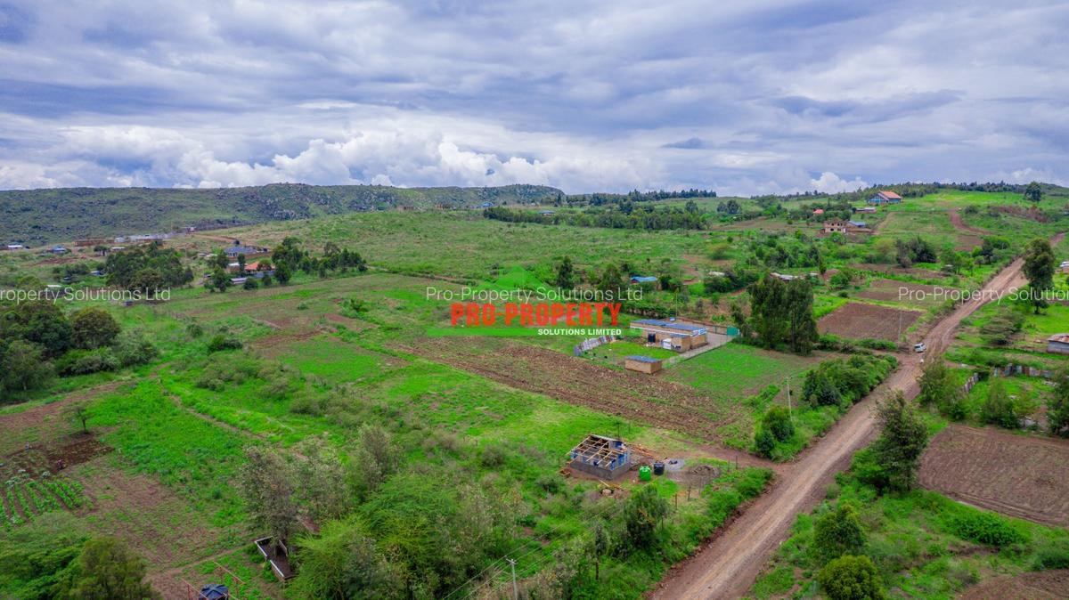 0.05 ha Residential Land at Nduiguine - 10