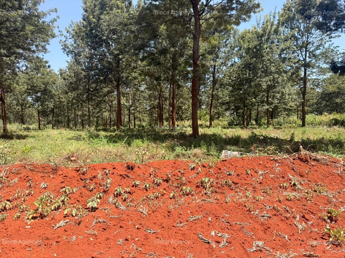 500 m² Residential Land at Ruiru-Githunguri Road - 12
