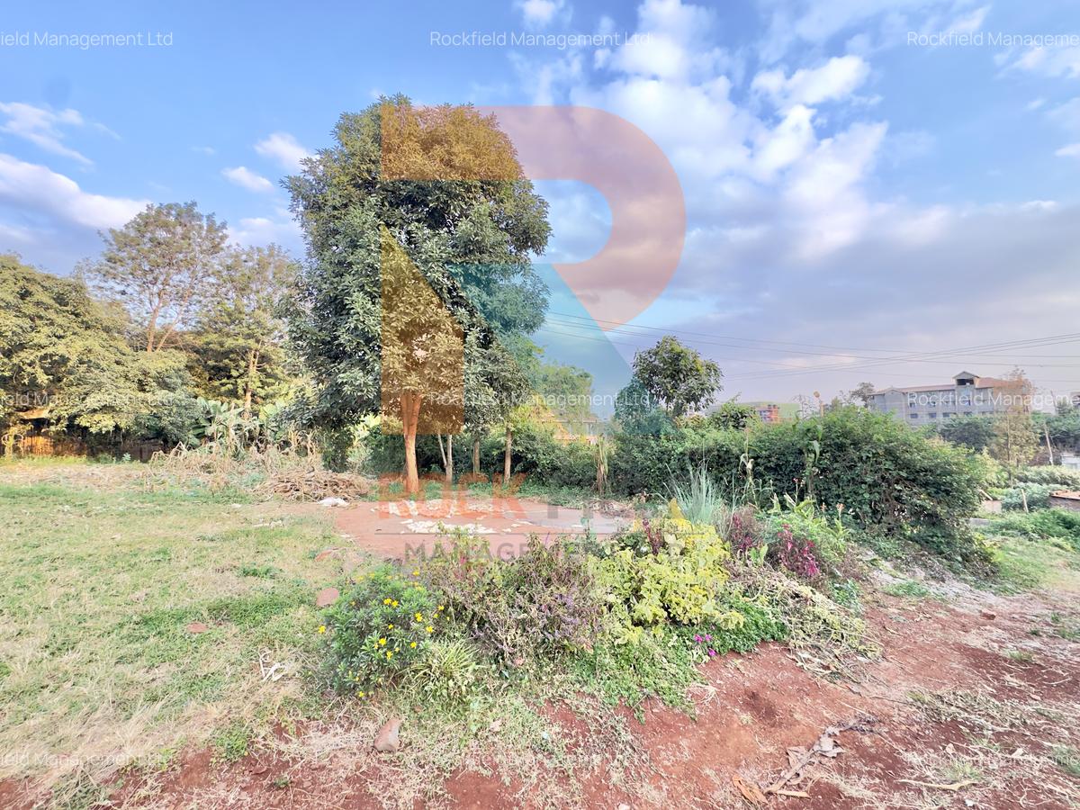 1.25 ac Land at White House Wangige - 8