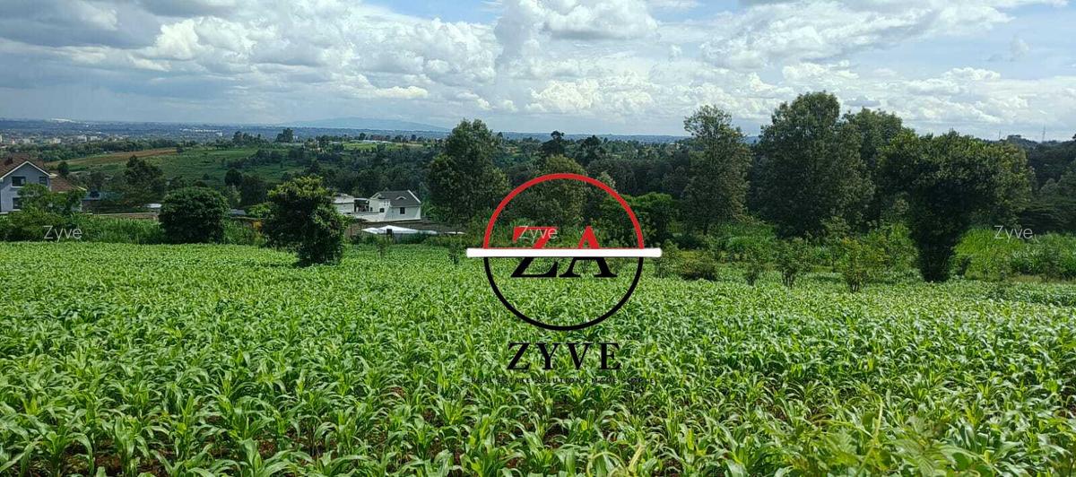 0.125 ac Land at Kanunga Kiambu Road - 8