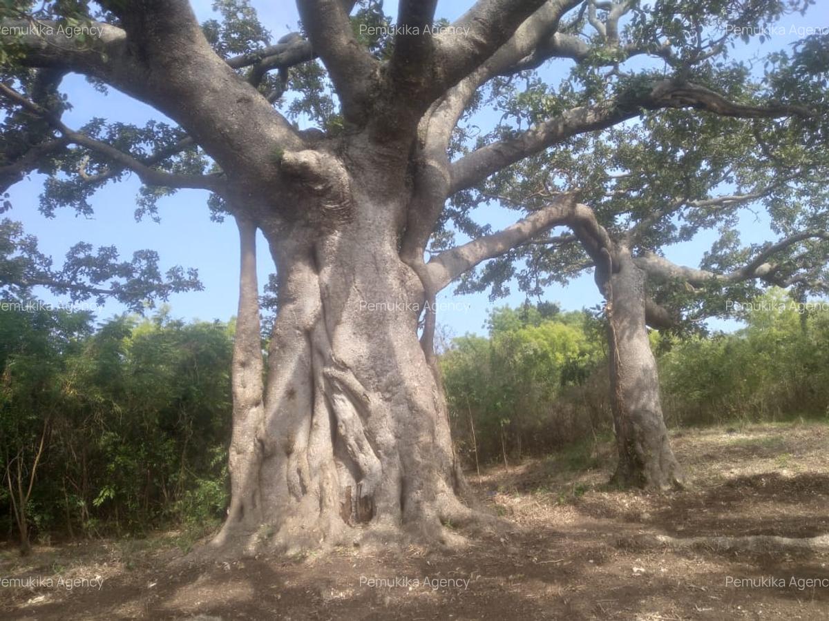 Commercial Land in Vipingo - 5