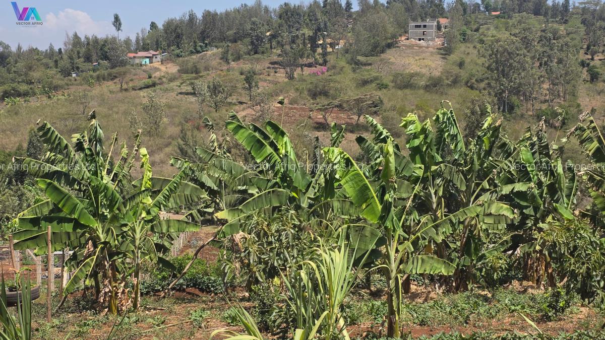 Land in Ngong - 5
