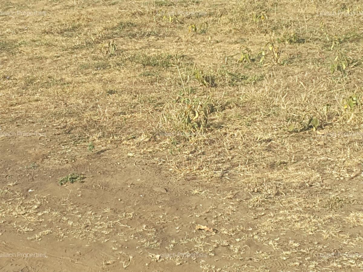 17 ac Land in Ongata Rongai - 4