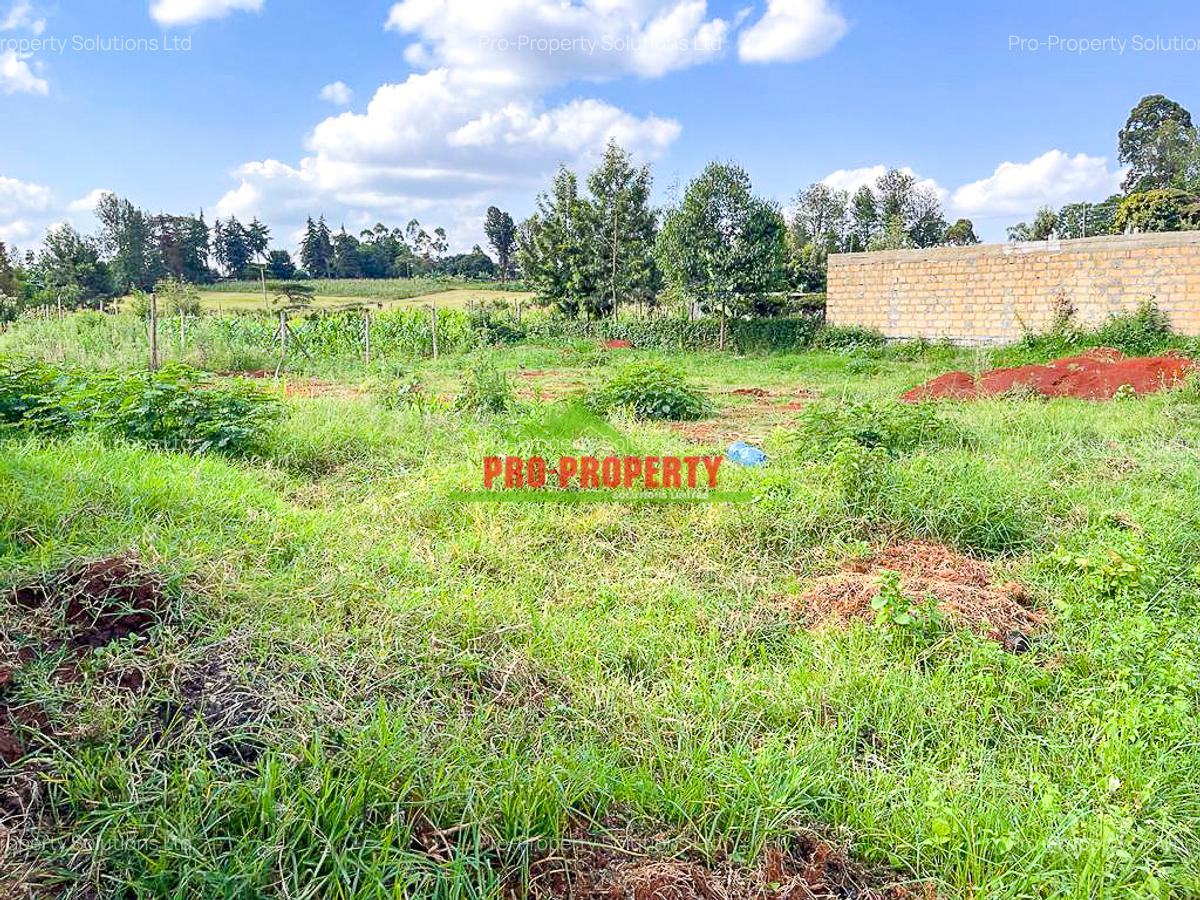 0.075 ha Residential Land at Ondiri - 8