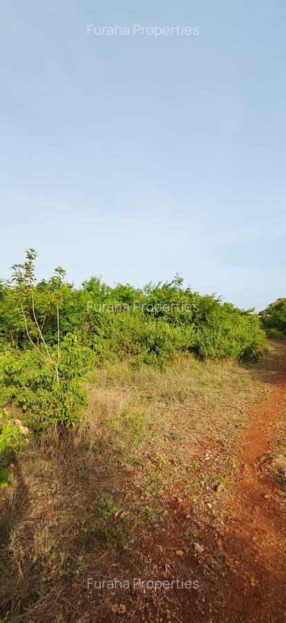Land in Diani - 13