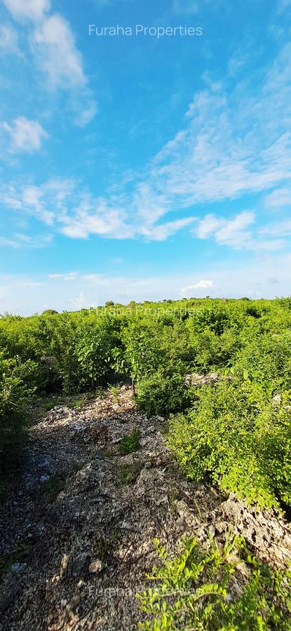 Land at Watamu - 4