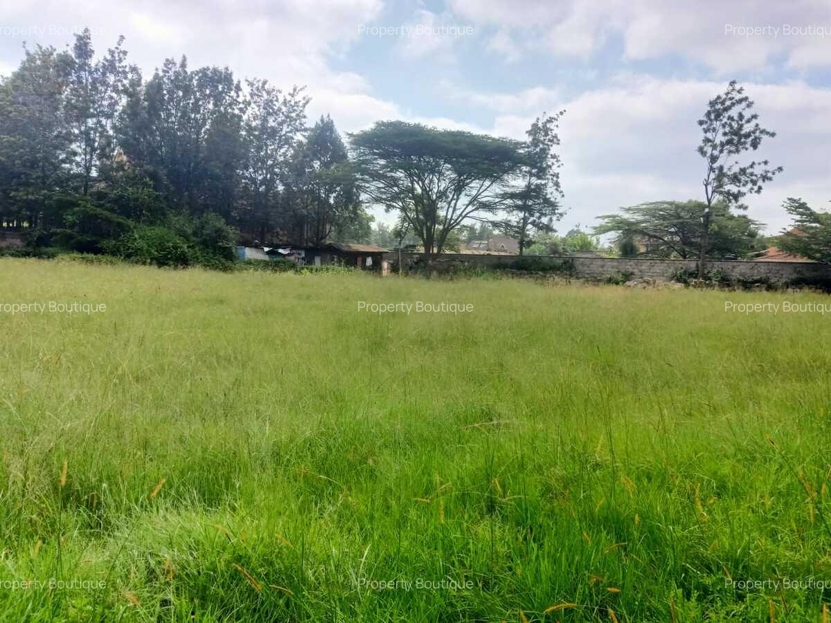 Land at Windy Ridge - 1