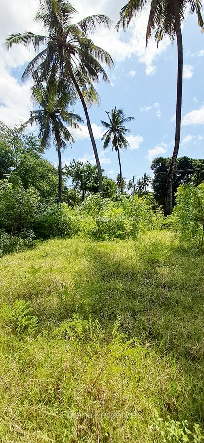 Land at Mtwapa - 7