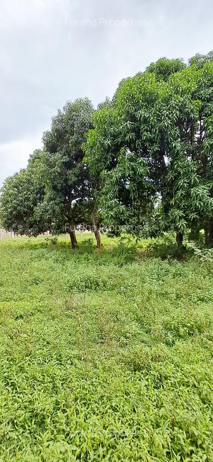 Land at Mtwapa - 15