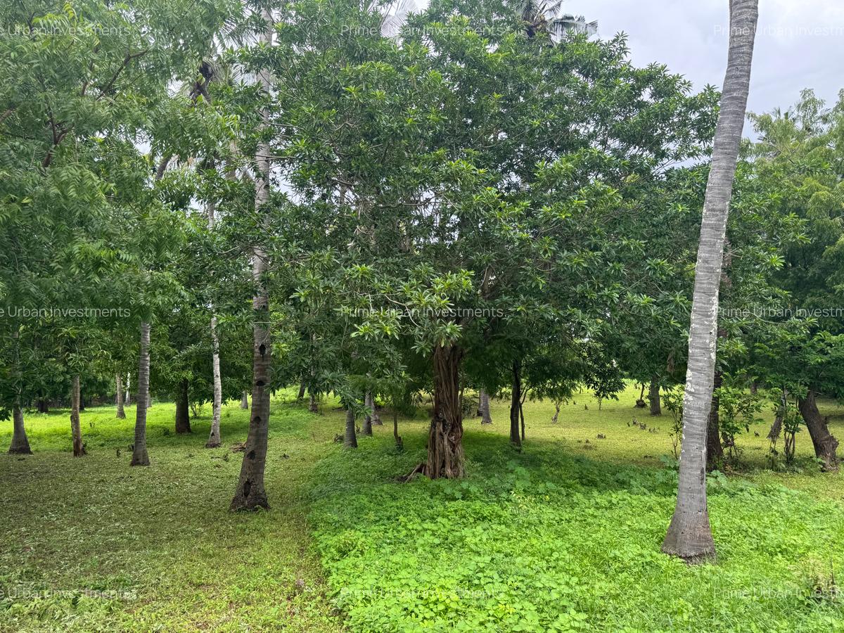 1,012 m² Land at Kikambala Beach - 10