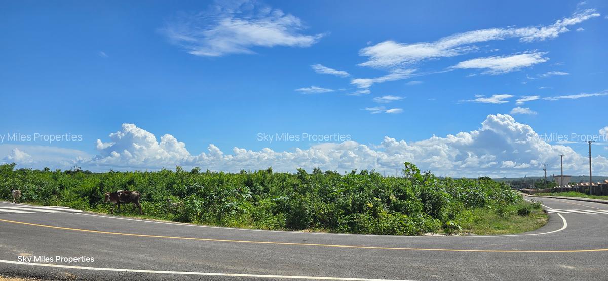 1,000 m² Land at Vipingo - 10